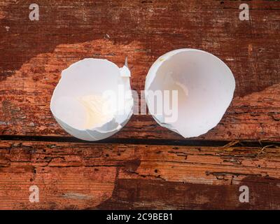 Empty white shell chicken eggs on a wooden table. Cooking food. Food photo. Home kitchen. Place for text. Background image. Agriculture. Poultry. Eggs Stock Photo