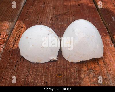 Empty white shell chicken eggs on a wooden table. Cooking food. Food photo. Home kitchen. Place for text. Background image. Agriculture. Poultry. Eggs Stock Photo