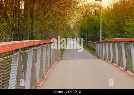 A bike path for cyclists. Bicycle lane in the park Stock Photo