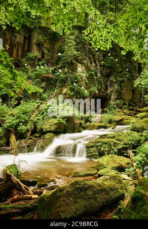 Calm water flow in a fairy mountain canyon, Marvelous Voievodyn river at summertime, Ukrainian Transcarpathia (Zakarpattia), Carpathian Mountains Stock Photo