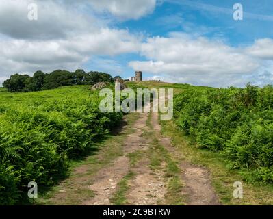 Footpath leading to the summit of Bradgate Hill and Old John folly in Summer, Bradgate Park, Leicestershire, England, UK Stock Photo