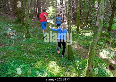 Children child friends playing outside in summer running in woods in the countryside after Covid coronavirus lockdown is eased Wales UK KATHY DEWITT Stock Photo