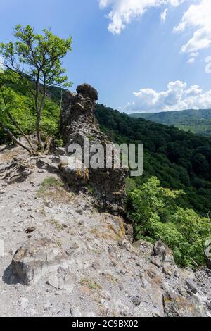 Volcanic rocks (Vadallo-kovek) in the Pilis mountains near Budapest, Hungary.