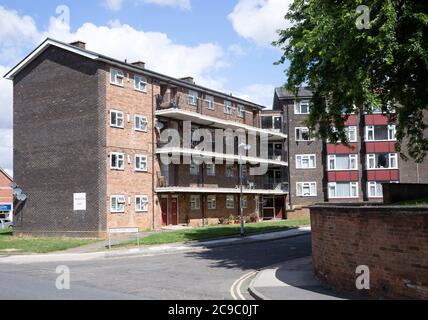 Council housing low rise flats social housing, Wellington Court, Ipswich, Suffolk, England, UK Stock Photo