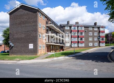 Council housing low rise flats social housing, Wellington Court, Ipswich, Suffolk, England, UK Stock Photo