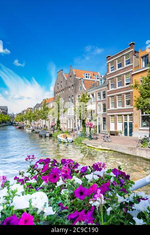 Leiden, Netherlands - July 22, 2020: Cityscape Leiden view Old Rhine with canal, houses and Saint Jan bridge during the summer. Stock Photo