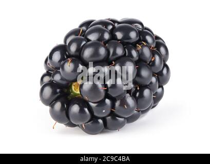 Ripe blackberry isolated on white background with clipping path. Stock Photo