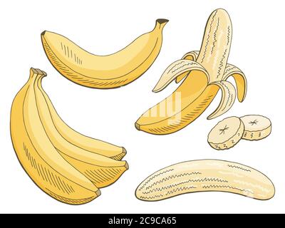 Premium Vector | Banana banana branch doodle line art yellow fruits bananas  sketch drawing vector