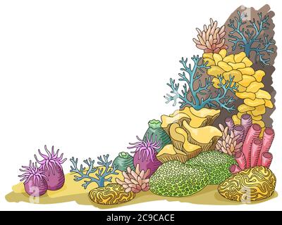 Coral sea graphic color underwater landscape illustration vector Stock Vector