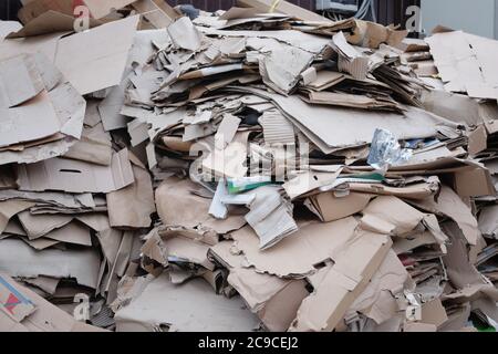 Cardboard and waste paper is collected and packaged for recycling. Cardboard is bundled into pile. Paper urban trash for recycling. Stock Photo