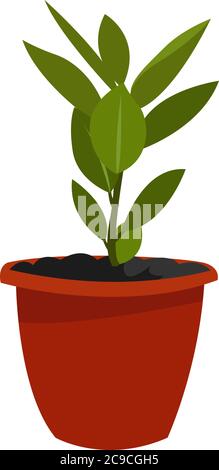 Bay leaf in pot, illustration, vector on white background Stock Vector