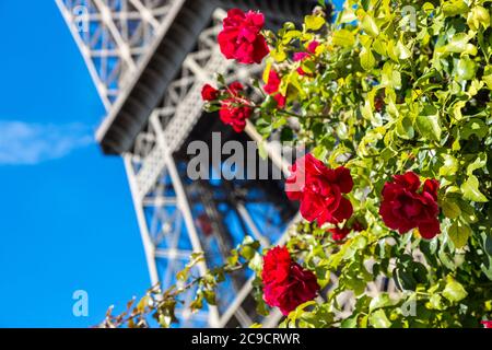 The Eiffel Tower in Paris, France in a beautiful summer day Stock Photo