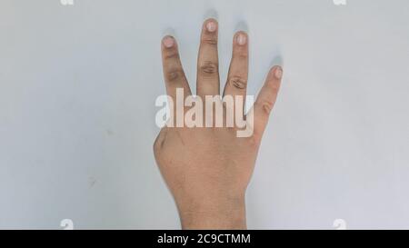 Signs Of Four. Emoji Style Hands Picture on White Background. Stock Photo