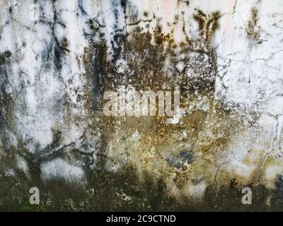 Mould, Fungus, and White Peeling Painting on Old Concrete Wall Background. Suitable for Presentation and Backdrop Stock Photo