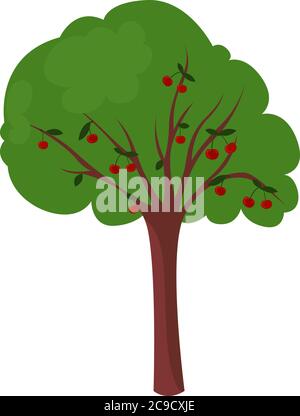 Cherry tree isolated on white background Stock Vector Image & Art - Alamy