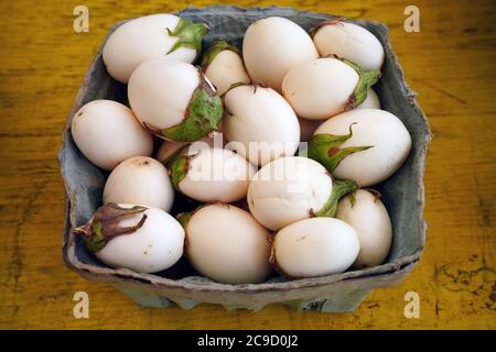 Container of white baby eggplants Stock Photo