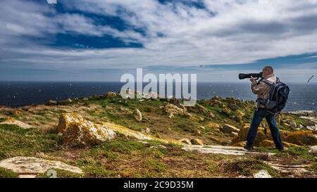 Wildlife photographer with telephoto camera in action shooting sea birds in flight on the edge of the cliff. Saltee Islands, South of Ireland. Stock Photo