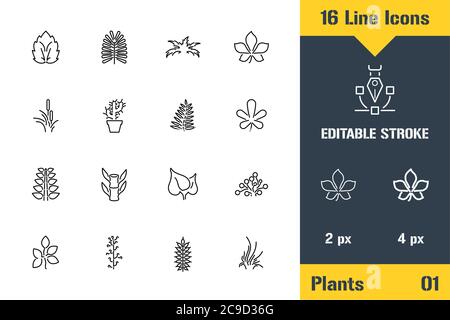 Plant Growing, Plants Foliage Leaf. Thin line icon - Outline flat vector illustration. Editable stroke pictogram. Premium quality graphics concept for Stock Vector