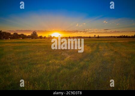 Sunset over a grassy field with sun rays. Stock Photo