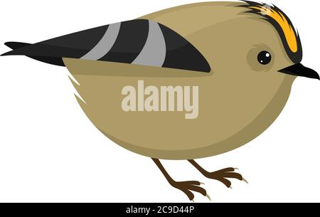 Goldcrest bird, illustration, vector on white background Stock Vector