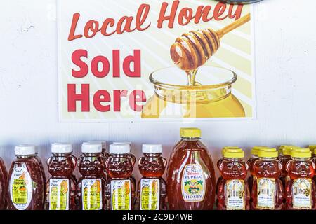 Tampa Florida,Apollo Beach,Tamiami Trail,local honey,retail products,display case sale,merchandise,packaging,brands,visitors travel traveling tour tou Stock Photo