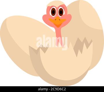 Little ostrich, illustration, vector on white background Stock Vector