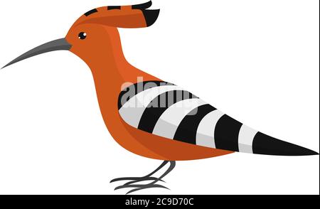 Hoopoe bird, illustration, vector on white background Stock Vector