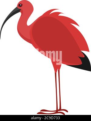 Scarlet Ibis Vector Illustration Stock Vector Image & Art - Alamy