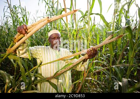 A millet farmer stands in his fields on his farm in Tahoua Region, Niger, West Africa. Stock Photo