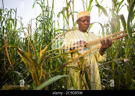 A millet farmer stands in his fields on his farm in Tahoua Region, Niger, West Africa. Stock Photo