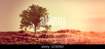 Alone growing tree on desert. Abstract graphic composition Stock Photo