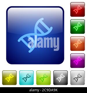 DNA molecule icons in rounded square color glossy button set Stock Vector