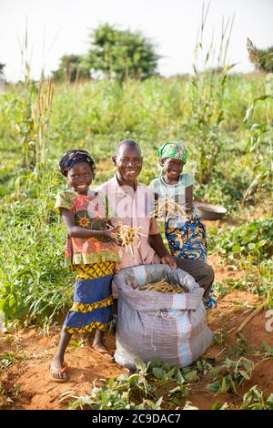 Portrait of a farmer family with their cowpea harvest in Tahoua Region, Niger, West Africa. Stock Photo