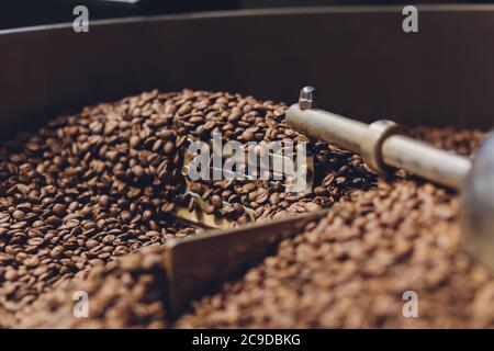 Cooling coffee beans in a cozy coffee shop. Stock Photo