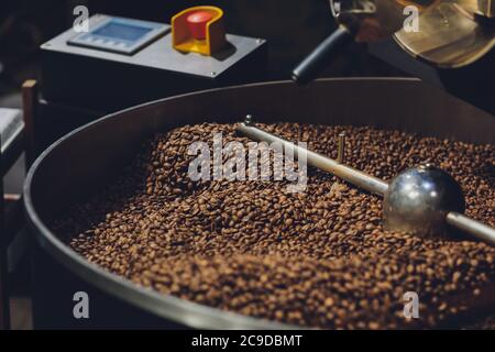 Cooling coffee beans in a cozy coffee shop. Stock Photo