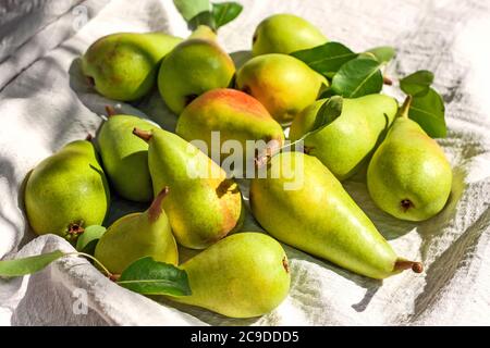 Fresh organic ripe pears with leaves in the wicker basket on gray