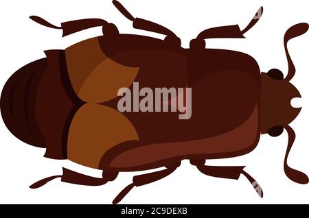 Sap beetle, illustration, vector on white background Stock Vector