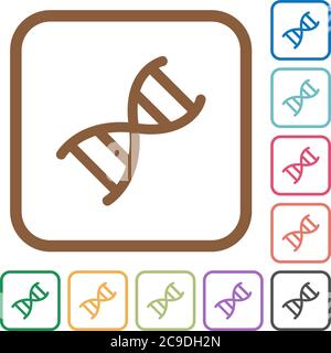DNA molecule simple icons in color rounded square frames on white background Stock Vector
