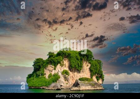 many frigate birds over an island in the caribbean Stock Photo