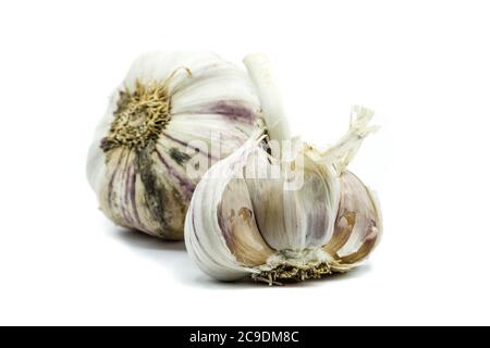 Garlic isolated on white background Stock Photo