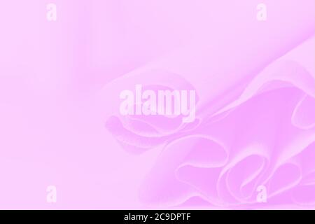 Pink gradient background, soft wrapping paper, abstract blurred background Stock Photo