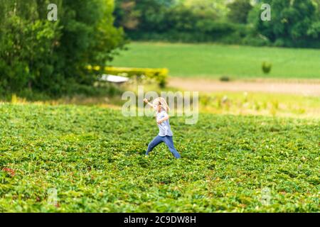 Little girl running in strawberry field in Sevenoaks, Kent Stock Photo