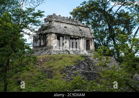 The Temple of the Count in the ruins of the Mayan city of Palenque,  Palenque National Park, Chiapas, Mexico.  A UNESCO World Heritage Site. Stock Photo