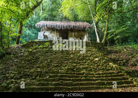 Temple of the Warriors, or Temple XVII, in the ruins of the Mayan city of Palenque,  Palenque National Park, Chiapas, Mexico.  A UNESCO World Heritage Stock Photo
