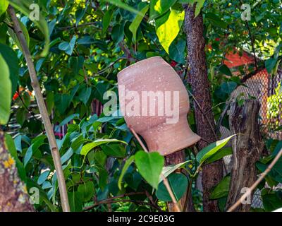 Earthenware jug on a green tree branch. Household. Gen. Background image. On the street. Place for text. Template. Poster. Stock Photo