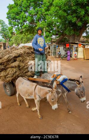 A teenage boy is driving a donkey cart through a street in Segou, a city in the center of Mali, West Africa. Stock Photo