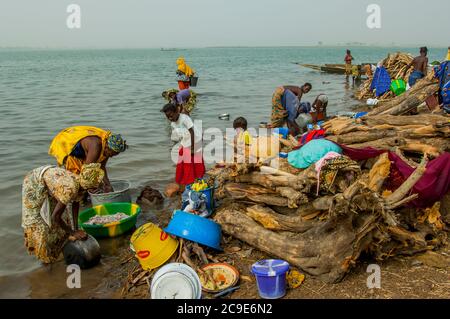 Women washing dishes and doing laundry on the bank of the Niger River in Segou, a city in the center of Mali, West Africa. Stock Photo