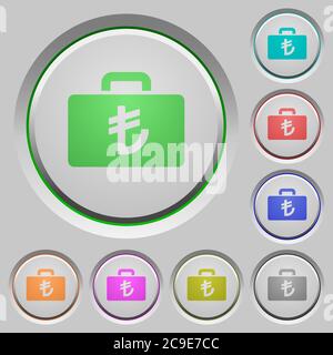Turkish Lira bag color icons on sunk push buttons Stock Vector