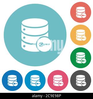 Secure database flat white icons on round color backgrounds Stock Vector