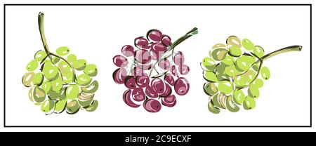 Grapes A bunch of grapes isolated on a white background. You can move, cut. Stock Vector